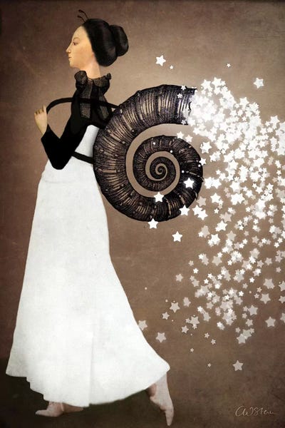 Star Fairy by Catrin Welz-Stein canvas print