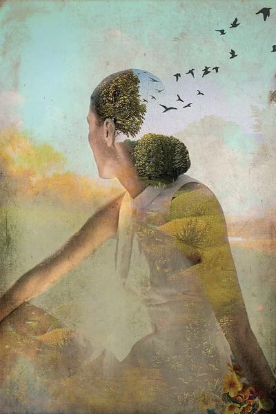 Kids Animal Art: Summer Deaming by Catrin Welz-Stein