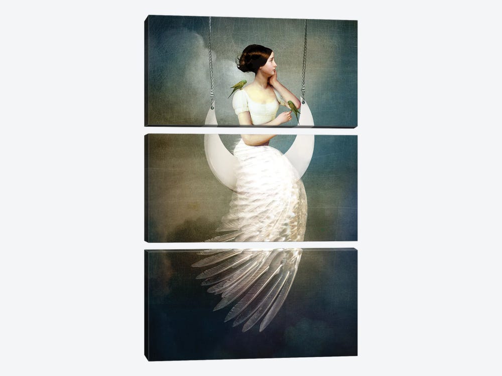 To The Moon And Back by Catrin Welz-Stein 3-piece Canvas Artwork