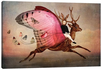 Enjoy The Ride Canvas Art Print - Insect & Bug Art