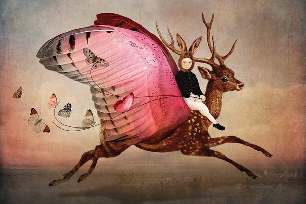 Catrin Welz-Stein: Enjoy The Ride by Catrin Welz-Stein