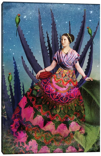 Blue Agave And Cacao Canvas Art Print - Catrin Welz-Stein