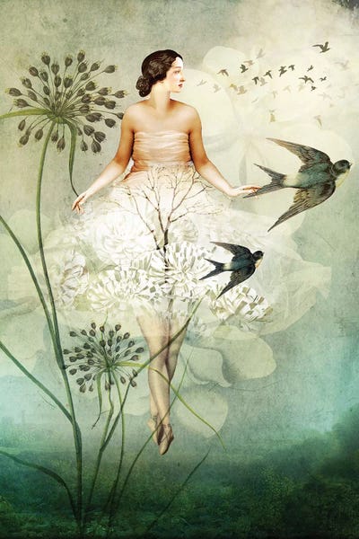Floral & Botanical: Flyby by Catrin Welz-Stein
