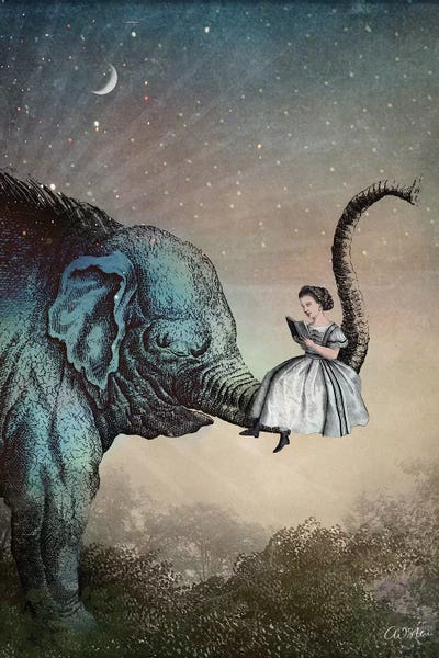 Good Night Story by Catrin Welz-Stein framed canvas print