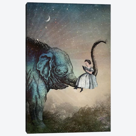 Good Night Story Canvas Print #CWS41} by Catrin Welz-Stein Canvas Wall Art