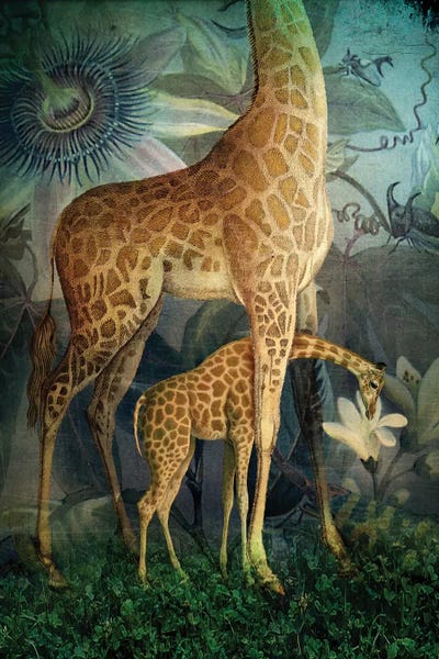 Giraffes: Jungle Life by Catrin Welz-Stein