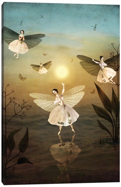 Sundance Canvas Art Print - The Secret Lives of Fairies