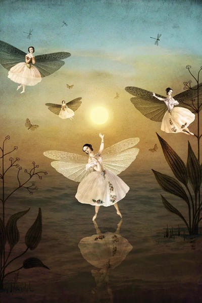 The Secret Lives Of Fairies: Sundance by Catrin Welz-Stein