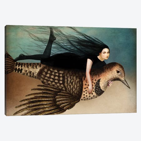 Back To Earth II Canvas Print #CWS68} by Catrin Welz-Stein Canvas Artwork