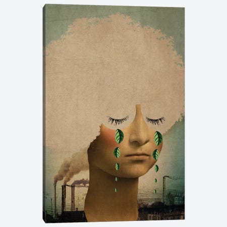 Climate Change Canvas Print #CWS71} by Catrin Welz-Stein Canvas Print
