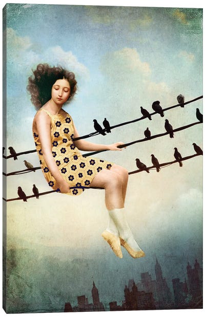 Hang In There Canvas Art Print - Birds On A Wire