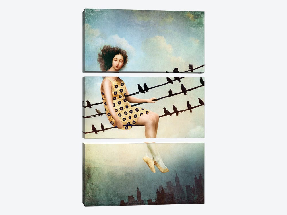 Hang In There by Catrin Welz-Stein 3-piece Art Print