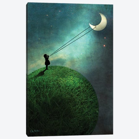 Chasing The Moon Canvas Print #CWS7} by Catrin Welz-Stein Canvas Art Print