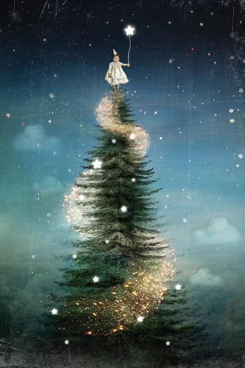 Royal Sapin by Catrin Welz-Stein wall art