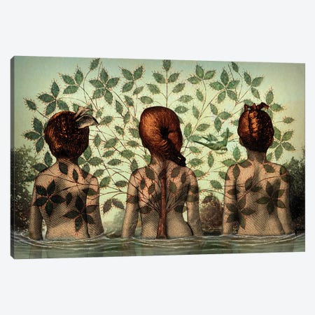Sisters Canvas Print #CWS86} by Catrin Welz-Stein Canvas Art Print