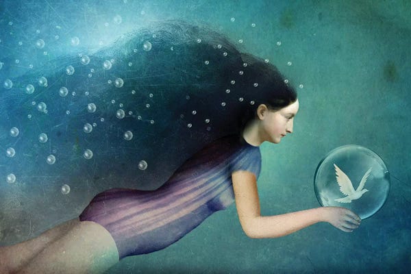 Imagination: Take Me There by Catrin Welz-Stein