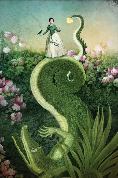 Alligators & Crocodiles: The Fool by Catrin Welz-Stein