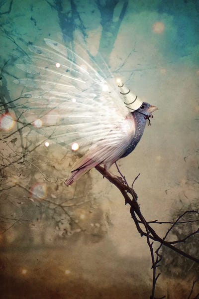 Similar To Salvador Dali: Feeling Festive by Catrin Welz-Stein