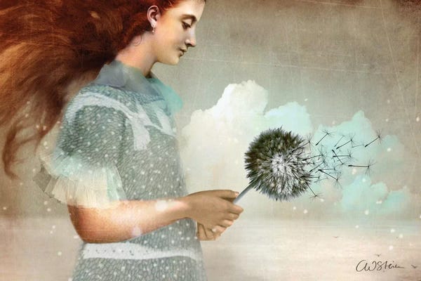 Imagination: Make A Wish by Catrin Welz-Stein
