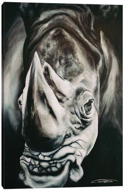 Rhino II Canvas Art Print - Chance Watt