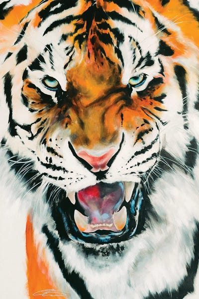 Tigers: Tiger by Chance Watt