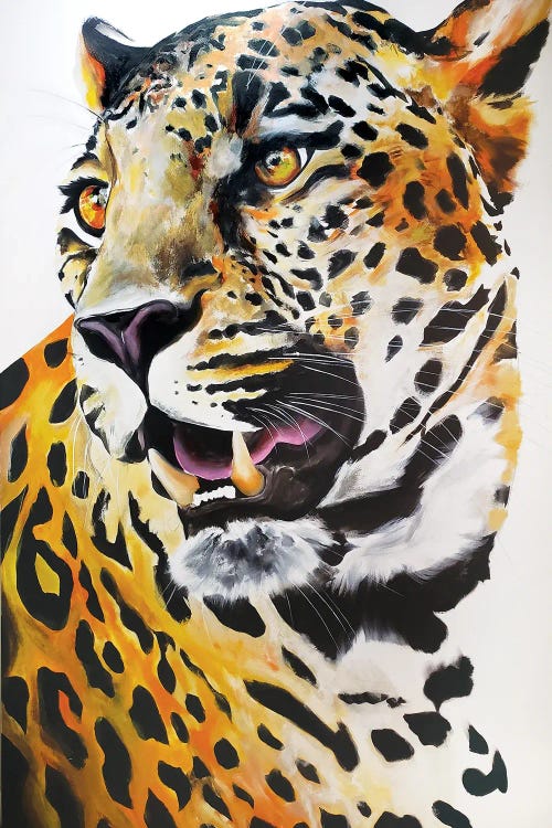 Cheetah