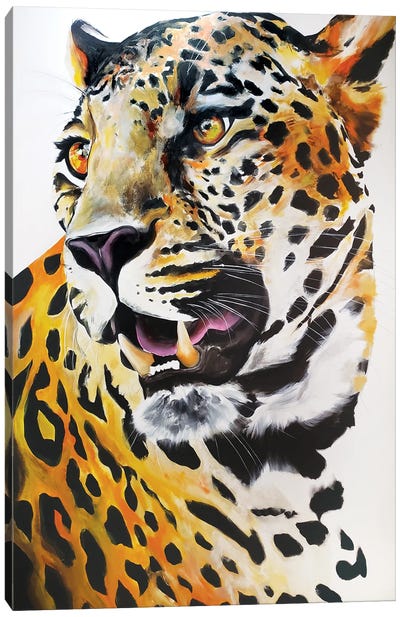 Cheetah Canvas Art Print - Chance Watt