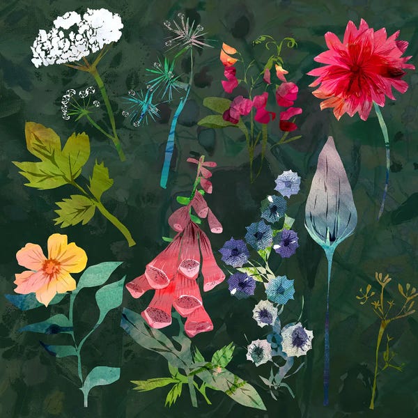 Claire Westwood: Flower Display by Claire Westwood