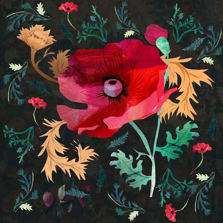 Poppy by Claire Westwood wall art