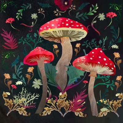Toadstools by Claire Westwood framed canvas print