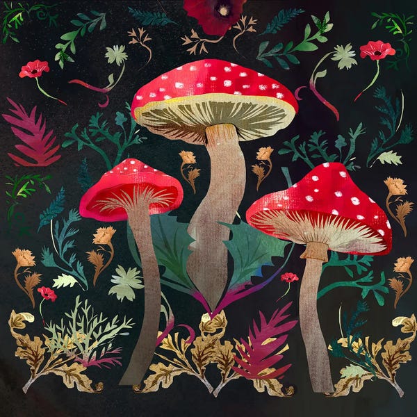 Claire Westwood: Toadstools by Claire Westwood