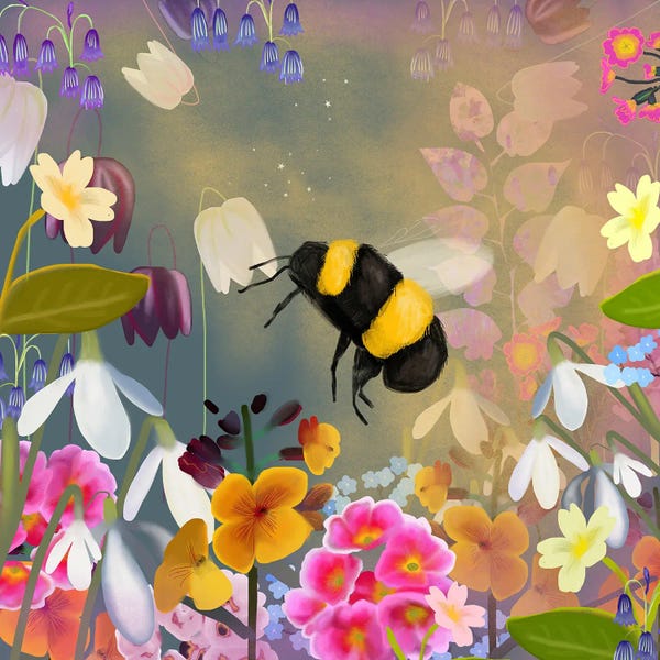 Claire Westwood: Bee by Claire Westwood