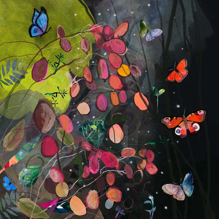 Butterflies by Claire Westwood wall art