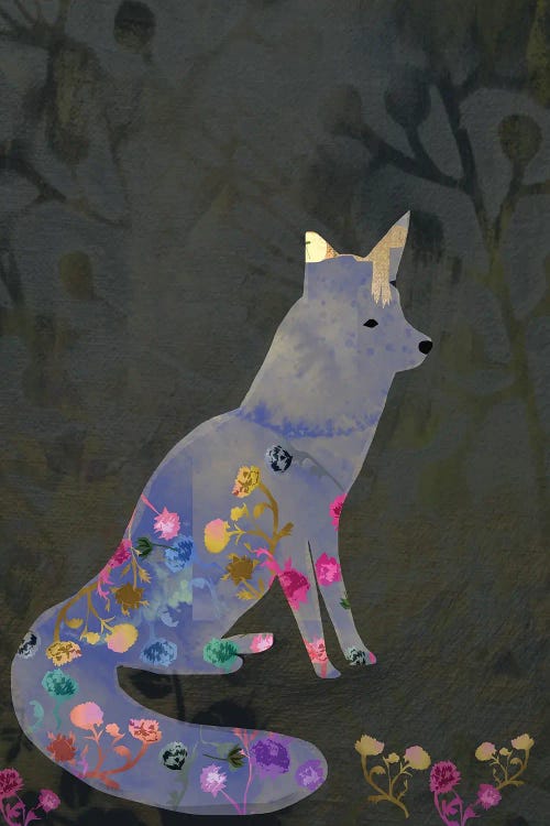 Delicate Fox