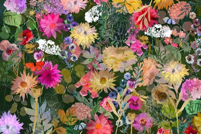 Flourish by Claire Westwood canvas print