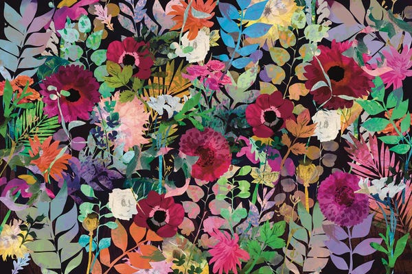 Anemones: Anemone by Claire Westwood