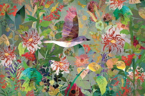 Dahlias: Dahlia by Claire Westwood