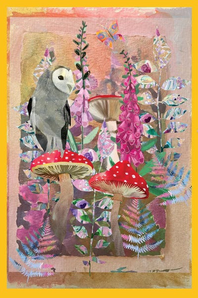 Owl Toadstool