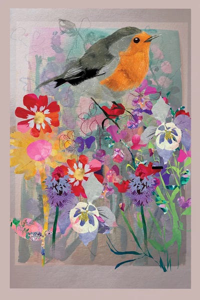 Robin