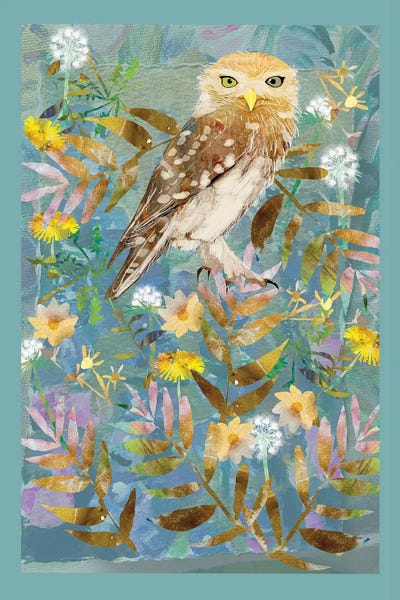 Owl Blue