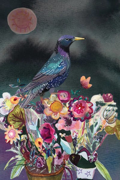Claire Westwood: Starling by Claire Westwood