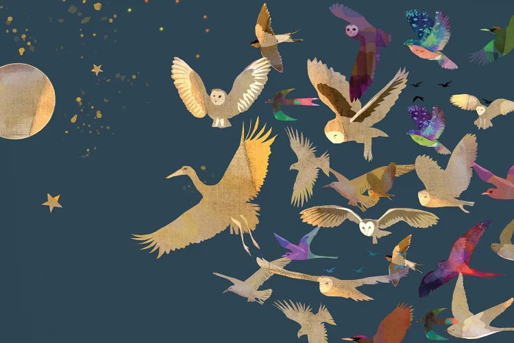 Follow by Claire Westwood wall art