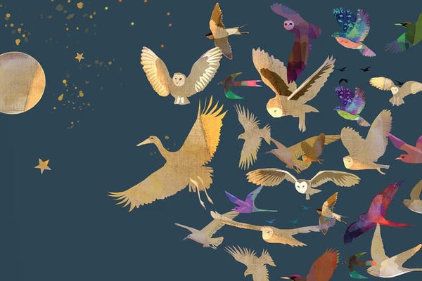 Global Folk: Follow by Claire Westwood