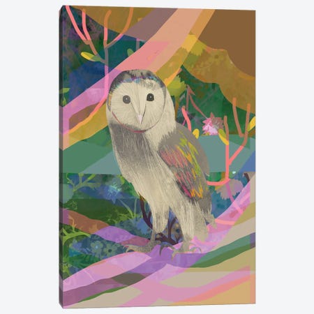Little Owl Canvas Print #CWW34} by Claire Westwood Canvas Art