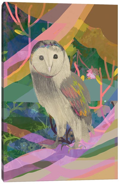 Little Owl Canvas Art Print - Claire Westwood