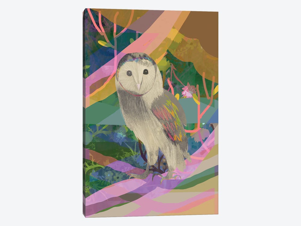 Little Owl by Claire Westwood 1-piece Canvas Artwork