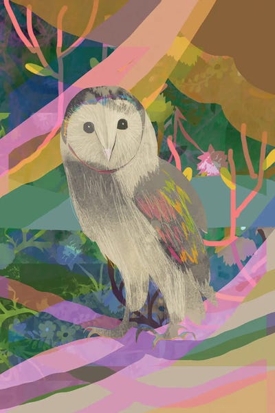 Claire Westwood: Little Owl by Claire Westwood