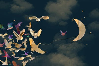 Moon Of The Night by Claire Westwood canvas print