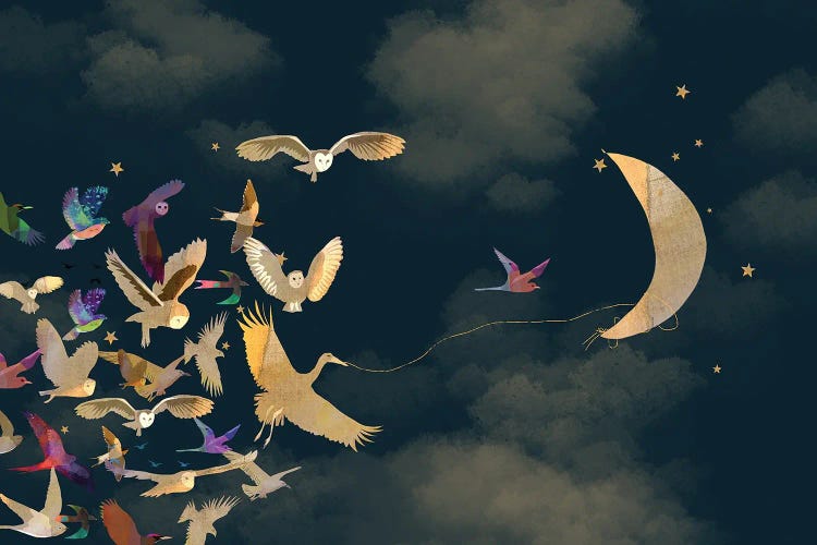 Moon Of The Night