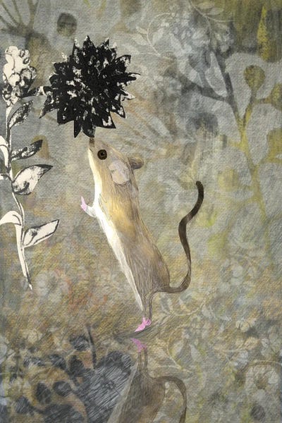 Mouse by Claire Westwood metal wall art